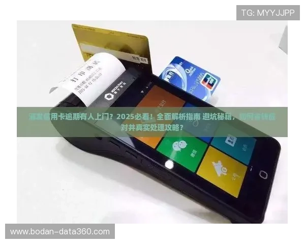 买波胆稳赢方法避坑指南品牌入口下载评测